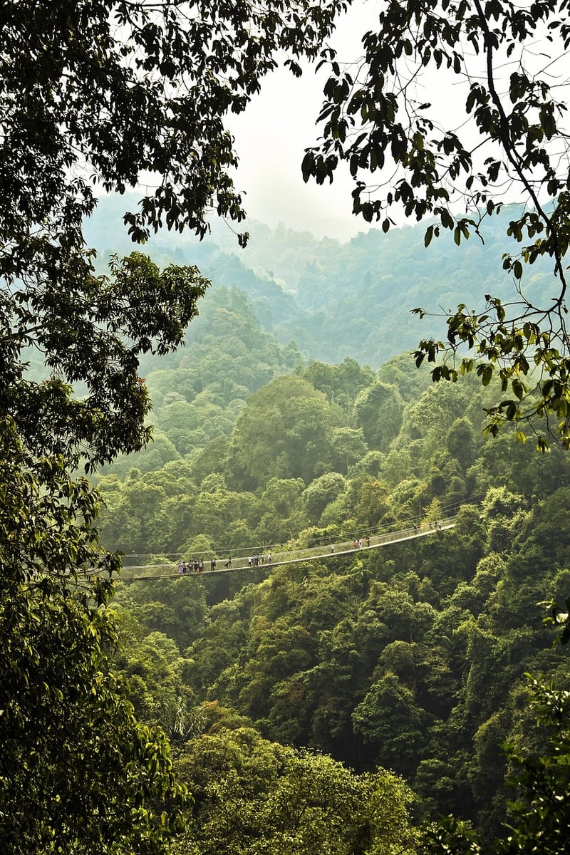 Green Adventure Holidays